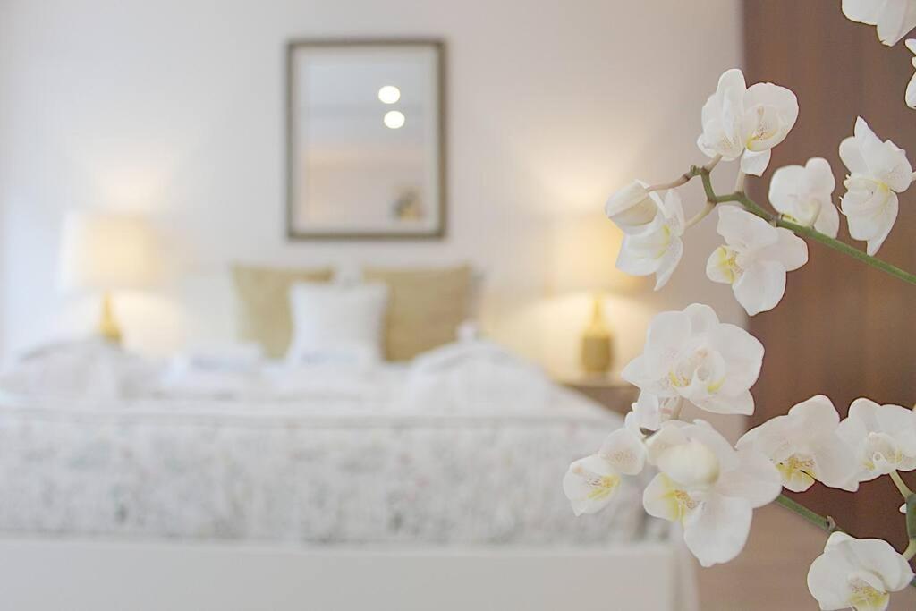 Oliveiras Charming Apartment Downtown Porto Ngoại thất bức ảnh